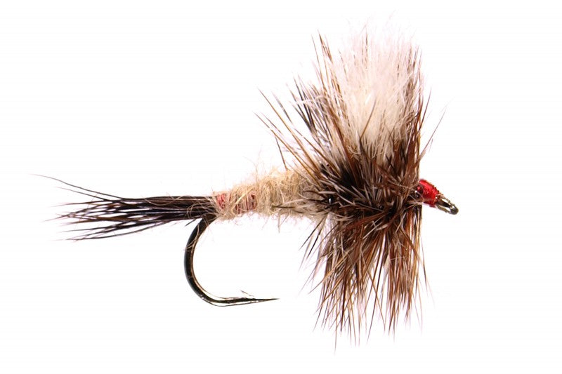 Ausable Wulff dry fly