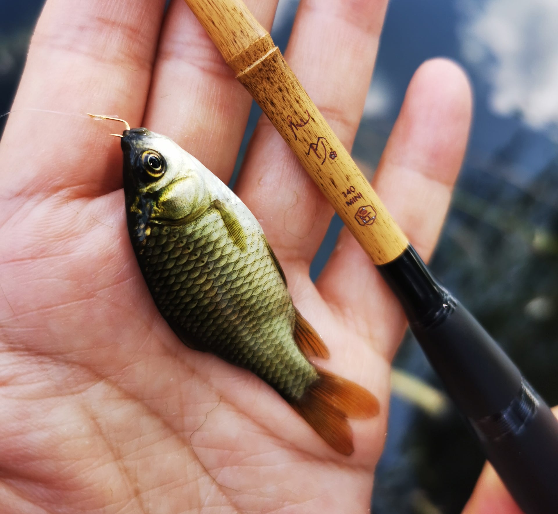bamboo telescopic fishing rod Bamboo Tanago Microfishing Rod