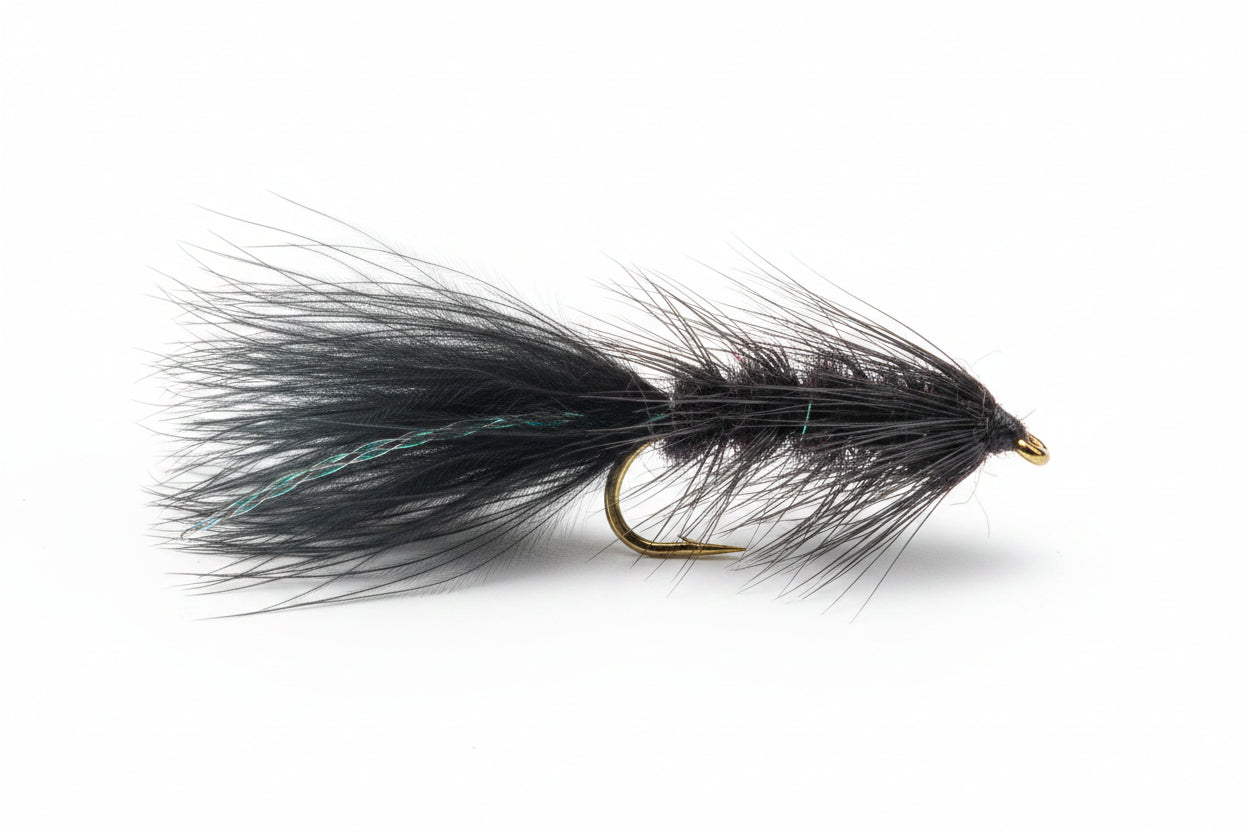 black woolly bugger fly on black background
