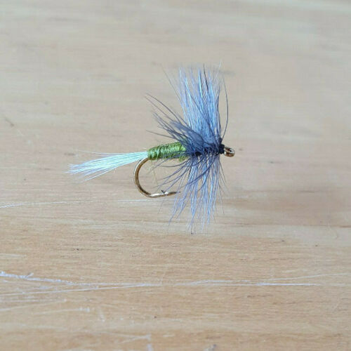 Blue Wing Olive Dry Fly