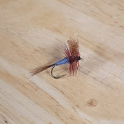 dark cahill fly on wooden background