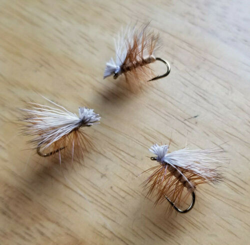 Elk Hair Caddis Dry Fly - 10 / Tan