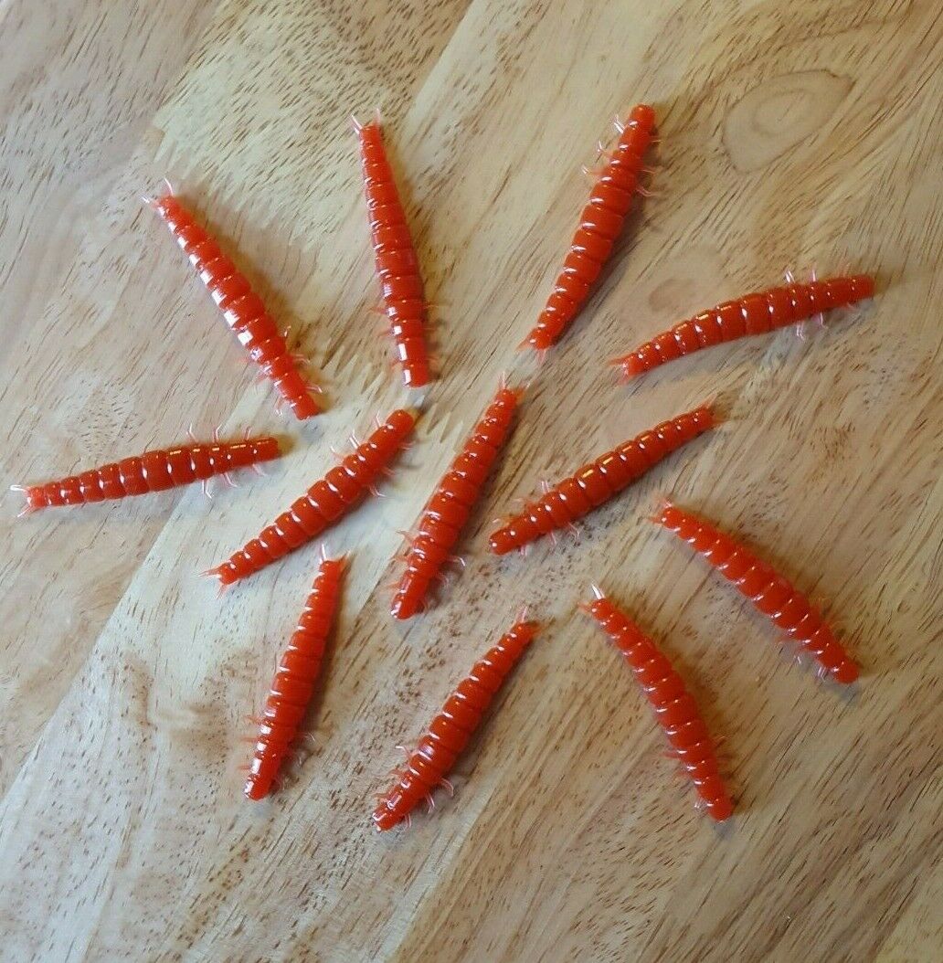 Killer Caddis Larva