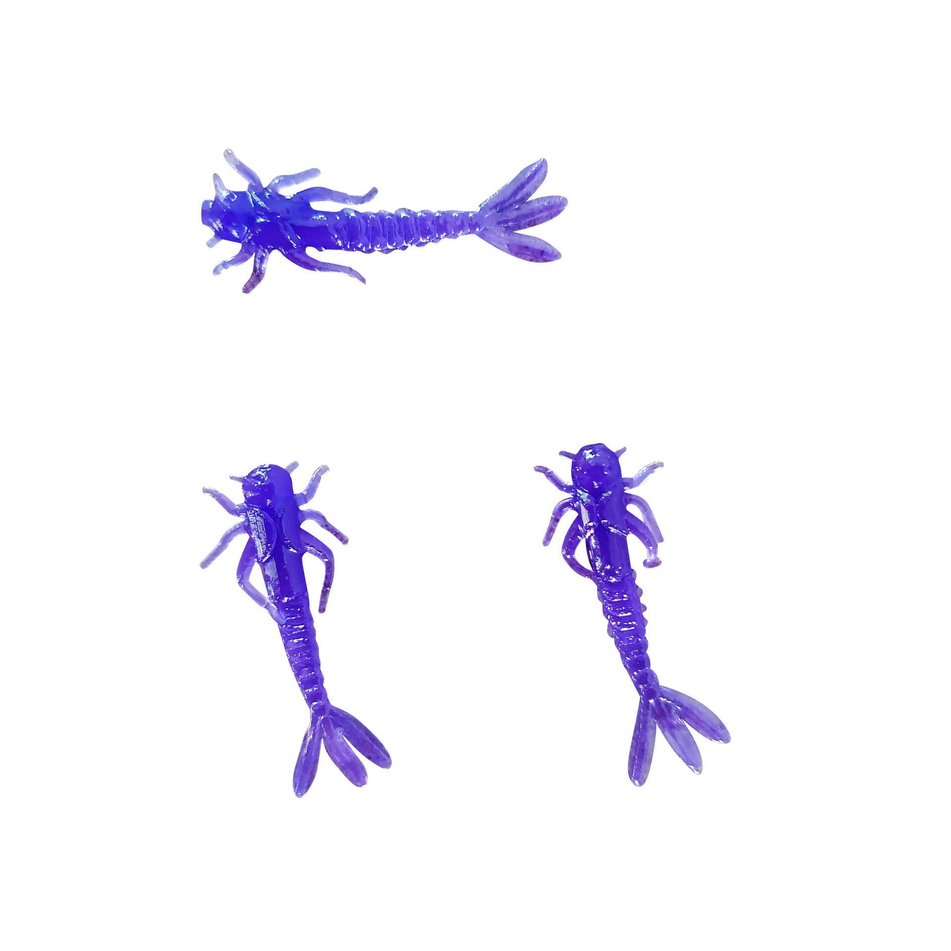 purple mayfly