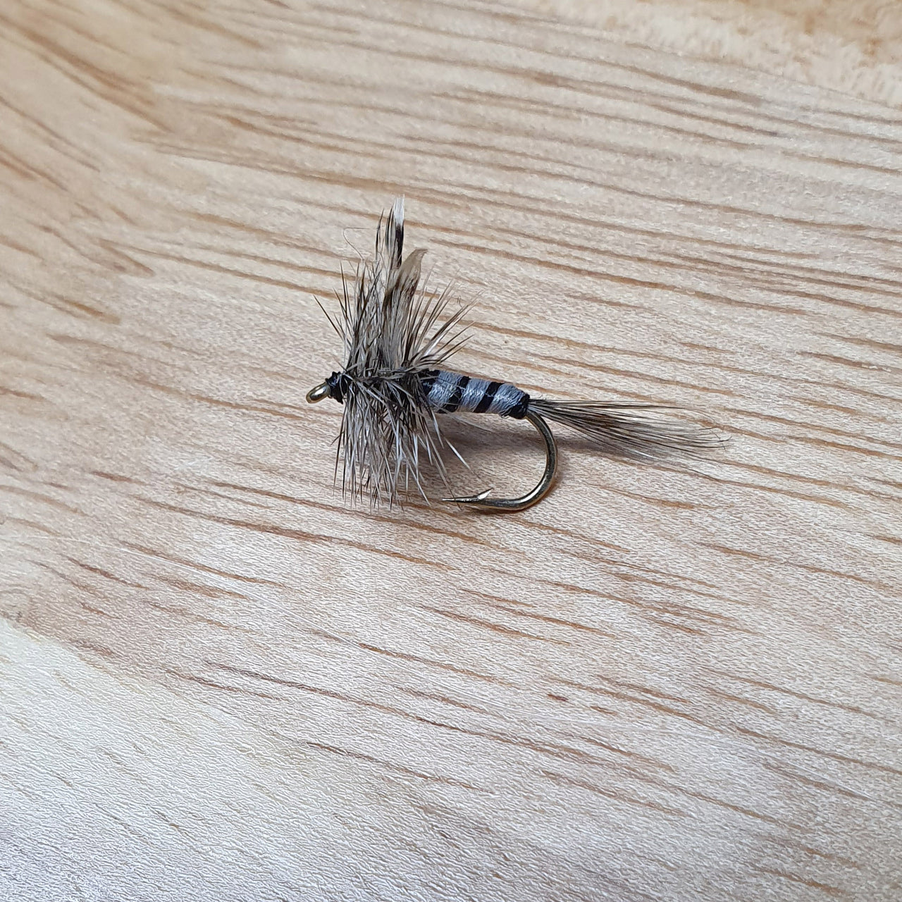 Mosquito fly