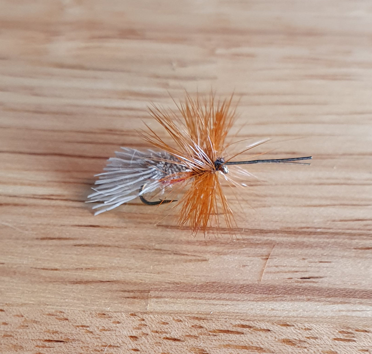 Red Goddard Caddis dry fly