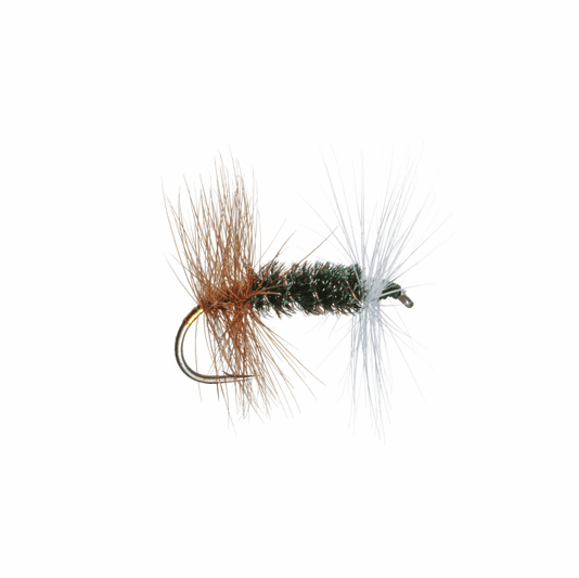 Renegade dry fly