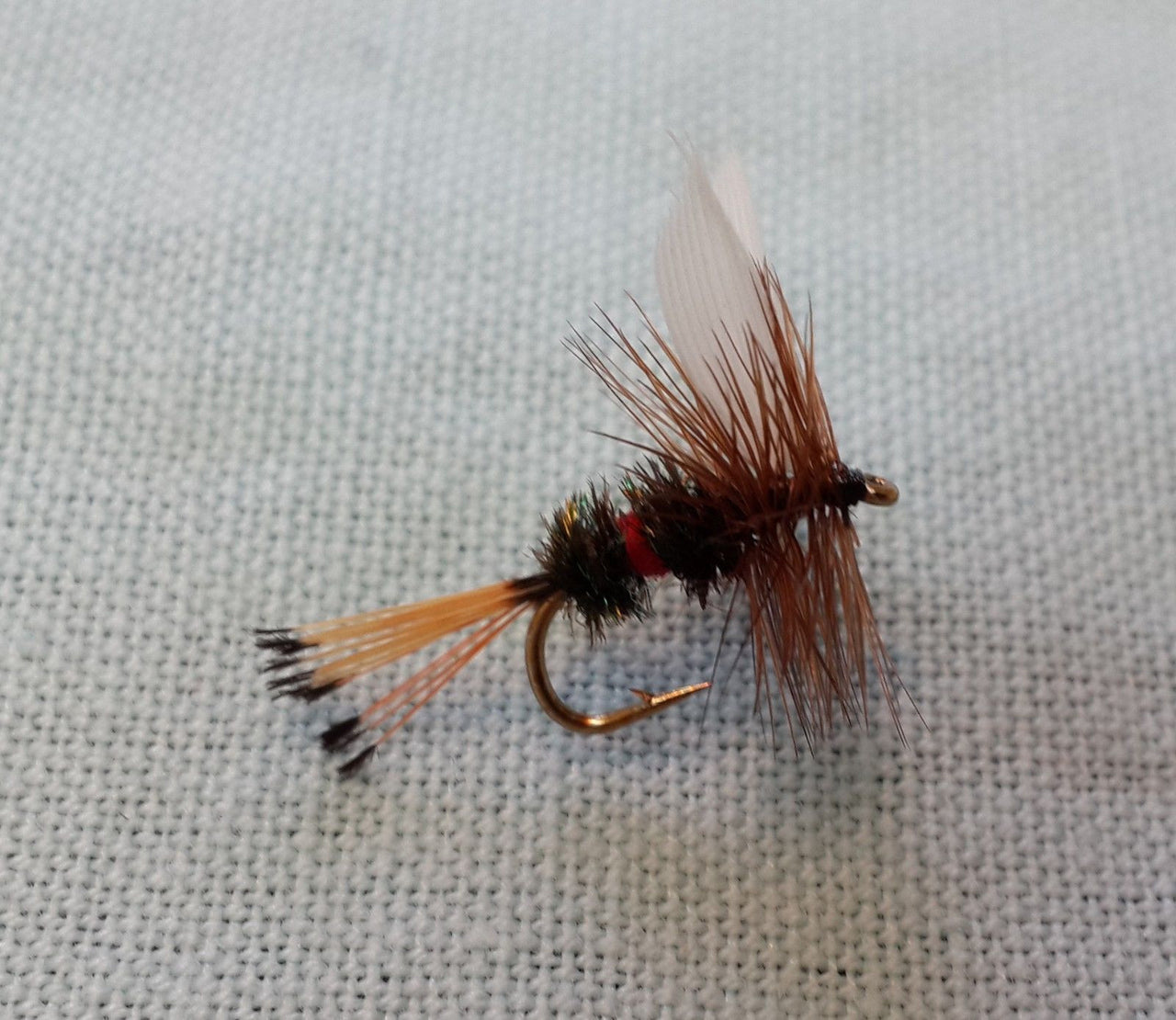 Royal Coachman Dry Fly