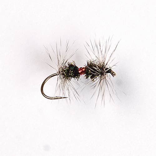 Royal Renegade dry fly