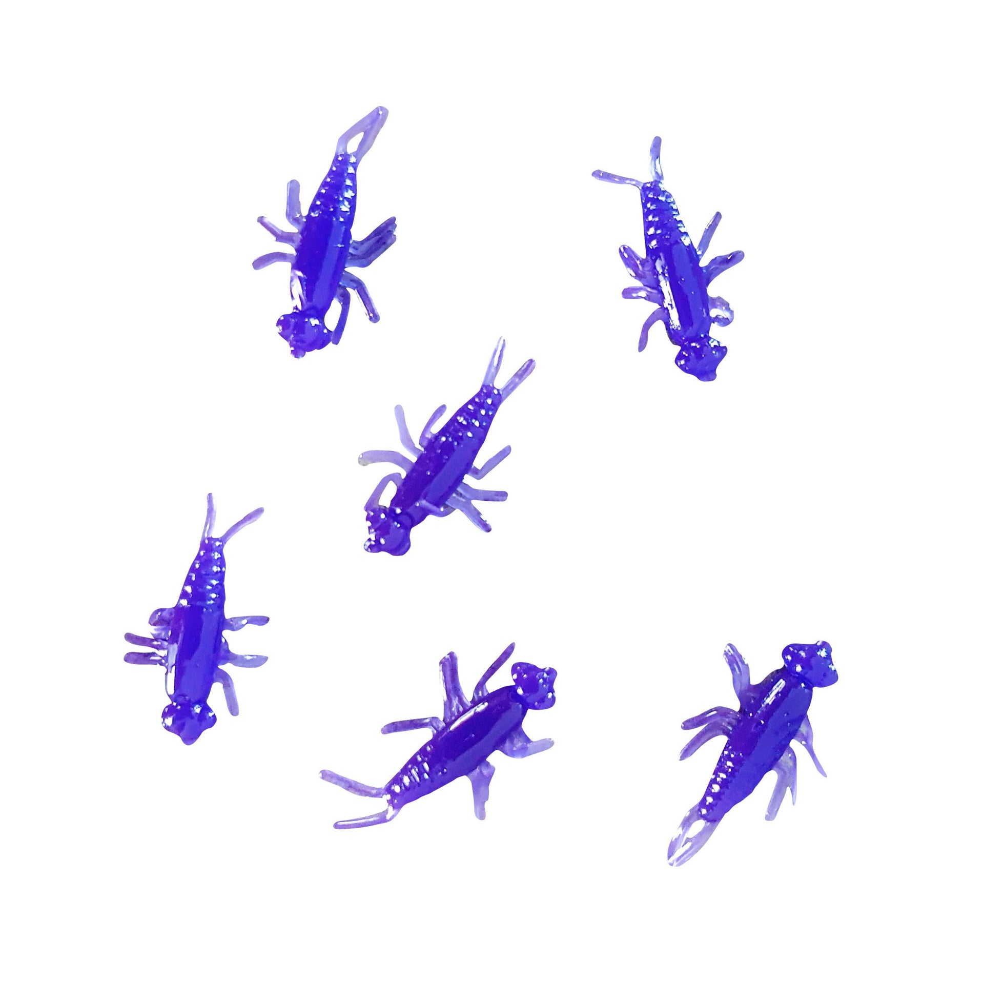 purple stonefly nymph